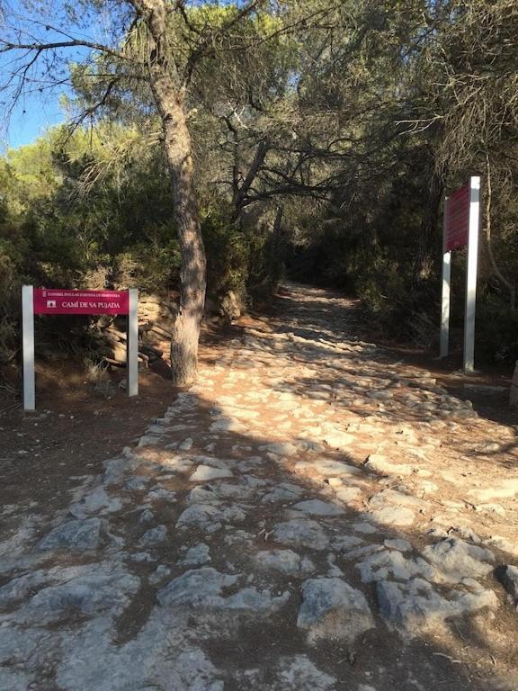 Ferienwohnung La Mundial Formentera Es Pujols Exterior foto